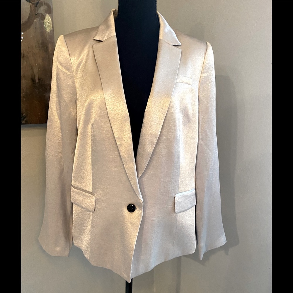 NWOT Banana Republic Silver Moonlight Blazer
